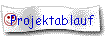 Projektablauf